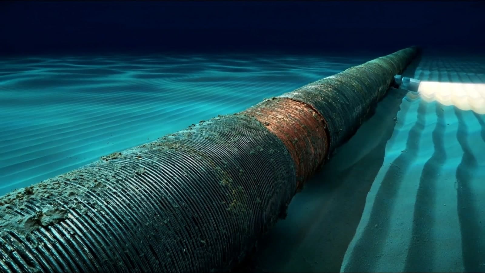 A thick steel-armoured cable running from the foreground across rippled sand into the distance, a copper band showing where the armour splits, lit by a torch from the right in clear teal water